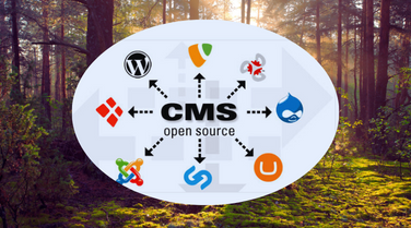 Content Management Systems company in India