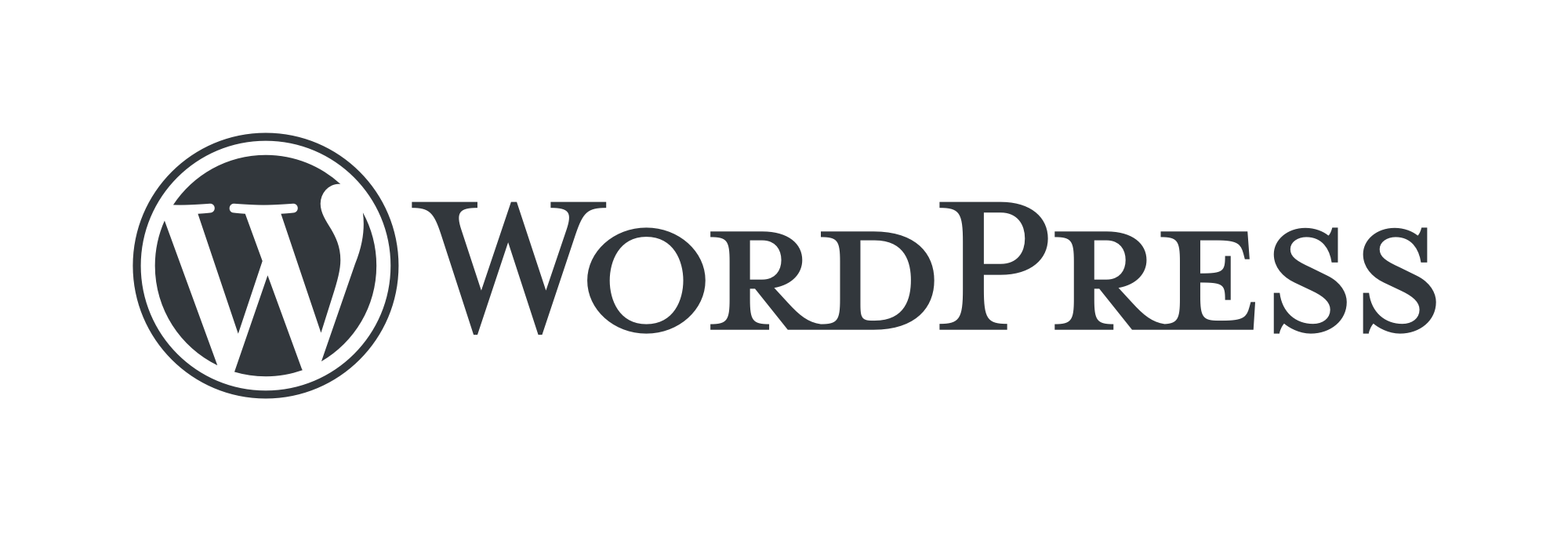 Wordpress development agency in delhi